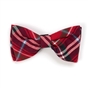 Red Plaid Bow Tie  pet clothes, dog clothes, puppy clothes, pet store, dog store, puppy boutique store, dog boutique, pet boutique, puppy boutique, Bloomingtails, dog, small dog clothes, large dog clothes, large dog costumes, small dog costumes, pet stuff, Halloween dog, puppy Halloween, pet Halloween, clothes, dog puppy Halloween, dog sale, pet sale, puppy sale, pet dog tank, pet tank, pet shirt, dog shirt, puppy shirt,puppy tank, I see spot, dog collars, dog leads, pet collar, pet lead,puppy collar, puppy lead, dog toys, pet toys, puppy toy, dog beds, pet beds, puppy bed,  beds,dog mat, pet mat, puppy mat, fab dog pet sweater, dog sweater, dog winter, pet winter,dog raincoat, pet raincoat, dog harness, puppy harness, pet harness, dog collar, dog lead, pet l
