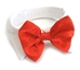 Red Satin Dog Bow Tie Collar - dogdes-red-bowtie