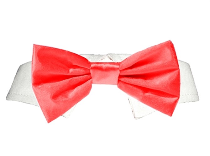 Red Satin Dog Tie Set   wooflink, susan lanci, dog clothes, small dog clothes, urban pup, pooch outfitters, dogo, hip doggie, doggie design, small dog dress, pet clotes, dog boutique. pet boutique, bloomingtails dog boutique, dog raincoat, dog rain coat, pet raincoat, dog shampoo, pet shampoo, dog bathrobe, pet bathrobe, dog carrier, small dog carrier, doggie couture, pet couture, dog football, dog toys, pet toys, dog clothes sale, pet clothes sale, shop local, pet store, dog store, dog chews, pet chews, worthy dog, dog bandana, pet bandana, dog halloween, pet halloween, dog holiday, pet holiday, dog teepee, custom dog clothes, pet pjs, dog pjs, pet pajamas, dog pajamas,dog sweater, pet sweater, dog hat, fabdog, fab dog, dog puffer coat, dog winter jacket, dog col