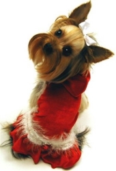 Red Velvet Dog Dress with Jewel Accent dog bowls,susan lanci, puppia,wooflink, luxury dog boutique,tonimari,pet clothes, dog clothes, puppy clothes, pet store, dog store, puppy boutique store, dog boutique, pet boutique, puppy boutique, Bloomingtails, dog, small dog clothes, large dog clothes, large dog costumes, small dog costumes, pet stuff, Halloween dog, puppy Halloween, pet Halloween, clothes, dog puppy Halloween, dog sale, pet sale, puppy sale, pet dog tank, pet tank, pet shirt, dog shirt, puppy shirt,puppy tank, I see spot, dog collars, dog leads, pet collar, pet lead,puppy collar, puppy lead, dog toys, pet toys, puppy toy, dog beds, pet beds, puppy bed,  beds,dog mat, pet mat, puppy mat, fab dog pet sweater, dog sweater, dog winter, pet winter,dog raincoat, pet raincoat,