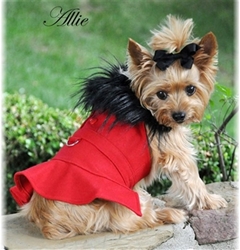 Red Wool Classic Dog Coat Harness with Fur Collar and Matching Leash  wooflink, susan lanci, dog clothes, small dog clothes, urban pup, pooch outfitters, dogo, hip doggie, doggie design, small dog dress, pet clotes, dog boutique. pet boutique, bloomingtails dog boutique, dog raincoat, dog rain coat, pet raincoat, dog shampoo, pet shampoo, dog bathrobe, pet bathrobe, dog carrier, small dog carrier, doggie couture, pet couture, dog football, dog toys, pet toys, dog clothes sale, pet clothes sale, shop local, pet store, dog store, dog chews, pet chews, worthy dog, dog bandana, pet bandana, dog halloween, pet halloween, dog holiday, pet holiday, dog teepee, custom dog clothes, pet pjs, dog pjs, pet pajamas, dog pajamas,dog sweater, pet sweater, dog hat, fabdog, fab dog, dog puffer coat, dog winter jacket, dog col