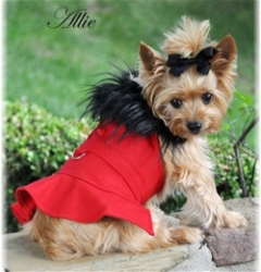 Red Wool Classic Dog Coat Harness with Fur Collar and Matching Leash  wooflink, susan lanci, dog clothes, small dog clothes, urban pup, pooch outfitters, dogo, hip doggie, doggie design, small dog dress, pet clotes, dog boutique. pet boutique, bloomingtails dog boutique, dog raincoat, dog rain coat, pet raincoat, dog shampoo, pet shampoo, dog bathrobe, pet bathrobe, dog carrier, small dog carrier, doggie couture, pet couture, dog football, dog toys, pet toys, dog clothes sale, pet clothes sale, shop local, pet store, dog store, dog chews, pet chews, worthy dog, dog bandana, pet bandana, dog halloween, pet halloween, dog holiday, pet holiday, dog teepee, custom dog clothes, pet pjs, dog pjs, pet pajamas, dog pajamas,dog sweater, pet sweater, dog hat, fabdog, fab dog, dog puffer coat, dog winter jacket, dog col