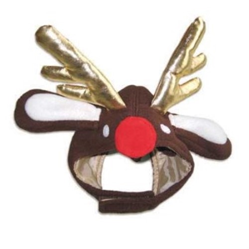 Red Nose Reindeer Cap puppy bed,  beds,dog mat, pet mat, puppy mat, fab dog pet sweater, dog swepet clothes, dog clothes, puppy clothes, pet store, dog store, puppy boutique store, dog boutique, pet boutique, puppy boutique, Bloomingtails, dog, small dog clothes, large dog clothes, large dog costumes, small dog costumes, pet stuff, Halloween dog, puppy Halloween, pet Halloween, clothes, dog puppy Halloween, dog sale, pet sale, puppy sale, pet dog tank, pet tank, pet shirt, dog shirt, puppy shirt,puppy tank, I see spot, dog collars, dog leads, pet collar, pet lead,puppy collar, puppy lead, dog toys, pet toys, puppy toy, dog beds, pet beds, puppy bed,  beds,dog mat, pet mat, puppy mat, fab dog pet sweater, dog sweater, dog winter, pet winter,dog raincoat, pet rain