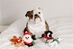 Santa Hatchables Dog Toy  - fet-santahatchS-4K4