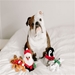 Santa Hatchables Dog Toy  - fet-santahatch