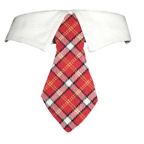 Richie Dog Tie Set wooflink, susan lanci, dog clothes, small dog clothes, urban pup, pooch outfitters, dogo, hip doggie, doggie design, small dog dress, pet clotes, dog boutique. pet boutique, bloomingtails dog boutique, dog raincoat, dog rain coat, pet raincoat, dog shampoo, pet shampoo, dog bathrobe, pet bathrobe, dog carrier, small dog carrier, doggie couture, pet couture, dog football, dog toys, pet toys, dog clothes sale, pet clothes sale, shop local, pet store, dog store, dog chews, pet chews, worthy dog, dog bandana, pet bandana, dog halloween, pet halloween, dog holiday, pet holiday, dog teepee, custom dog clothes, pet pjs, dog pjs, pet pajamas, dog pajamas,dog sweater, pet sweater, dog hat, fabdog, fab dog, dog puffer coat, dog winter jacket, dog col