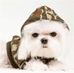 "Riley" Bamboo Fleece Sleeveless Dog Hoodie    - sharp-riley