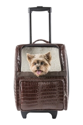 Rio Bag on Wheels in Brown Croco wooflink, susan lanci, dog clothes, small dog clothes, urban pup, pooch outfitters, dogo, hip doggie, doggie design, small dog dress, pet clotes, dog boutique. pet boutique, bloomingtails dog boutique, dog raincoat, dog rain coat, pet raincoat, dog shampoo, pet shampoo, dog bathrobe, pet bathrobe, dog carrier, small dog carrier, doggie couture, pet couture, dog football, dog toys, pet toys, dog clothes sale, pet clothes sale, shop local, pet store, dog store, dog chews, pet chews, worthy dog, dog bandana, pet bandana, dog halloween, pet halloween, dog holiday, pet holiday, dog teepee, custom dog clothes, pet pjs, dog pjs, pet pajamas, dog pajamas,dog sweater, pet sweater, dog hat, fabdog, fab dog, dog puffer coat, dog winter jacket, dog col