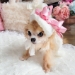 Romantic Days of Summer Beret - wf-romanticberet