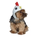 Rooster Dog Hat - dogo-roosterS-KT5