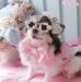 Rose Sunglasses by Wooflink - wf-rosesunglasses