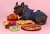 Rotisserie Chicken Super-Squeaker Dog Toy - fab-chicken-toyC-FEN