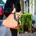 Roxy Bag in Black - pet-roxyblack