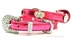 Royal Metallic Crown Dog Collar in Pink or Hot Pink - ccc-royal-collarH-T8A