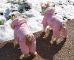 Ruffin It Pink Snowsuit  - dogdes-ruffinpink