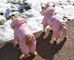 Ruffin It Pink Snowsuit  - dogdes-ruffinpink