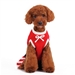 Santa Girl Dog Sweater Dress - dgo-santagirlX-RWM
