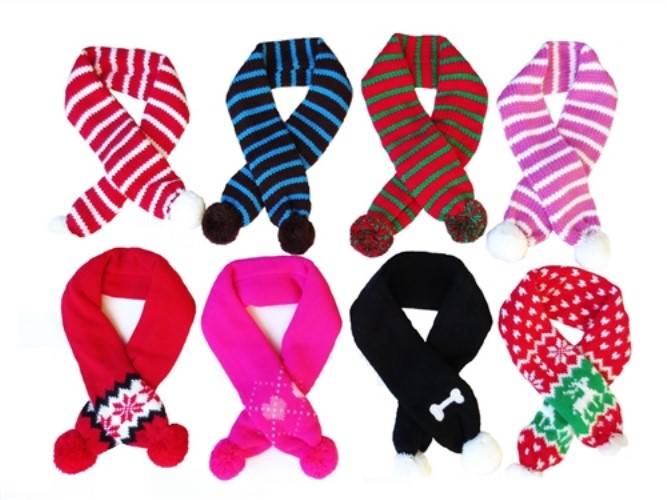 Sassy Dog Scarf  puppy bed,  beds,dog mat, pet mat, puppy mat, fab dog pet sweater, dog swepet clothes, dog clothes, puppy clothes, pet store, dog store, puppy boutique store, dog boutique, pet boutique, puppy boutique, Bloomingtails, dog, small dog clothes, large dog clothes, large dog costumes, small dog costumes, pet stuff, Halloween dog, puppy Halloween, pet Halloween, clothes, dog puppy Halloween, dog sale, pet sale, puppy sale, pet dog tank, pet tank, pet shirt, dog shirt, puppy shirt,puppy tank, I see spot, dog collars, dog leads, pet collar, pet lead,puppy collar, puppy lead, dog toys, pet toys, puppy toy, dog beds, pet beds, puppy bed,  beds,dog mat, pet mat, puppy mat, fab dog pet sweater, dog sweater, dog winter, pet winter,dog raincoat, pet rain