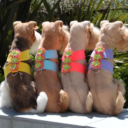 Sea Urchin Tinkie Harness in Many Colors wooflink, susan lanci, dog clothes, small dog clothes, urban pup, pooch outfitters, dogo, hip doggie, doggie design, small dog dress, pet clotes, dog boutique. pet boutique, bloomingtails dog boutique, dog raincoat, dog rain coat, pet raincoat, dog shampoo, pet shampoo, dog bathrobe, pet bathrobe, dog carrier, small dog carrier, doggie couture, pet couture, dog football, dog toys, pet toys, dog clothes sale, pet clothes sale, shop local, pet store, dog store, dog chews, pet chews, worthy dog, dog bandana, pet bandana, dog halloween, pet halloween, dog holiday, pet holiday, dog teepee, custom dog clothes, pet pjs, dog pjs, pet pajamas, dog pajamas,dog sweater, pet sweater, dog hat, fabdog, fab dog, dog puffer coat, dog winter jacket, dog col