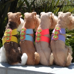 Sea Urchin Tinkie Harness in Many Colors wooflink, susan lanci, dog clothes, small dog clothes, urban pup, pooch outfitters, dogo, hip doggie, doggie design, small dog dress, pet clotes, dog boutique. pet boutique, bloomingtails dog boutique, dog raincoat, dog rain coat, pet raincoat, dog shampoo, pet shampoo, dog bathrobe, pet bathrobe, dog carrier, small dog carrier, doggie couture, pet couture, dog football, dog toys, pet toys, dog clothes sale, pet clothes sale, shop local, pet store, dog store, dog chews, pet chews, worthy dog, dog bandana, pet bandana, dog halloween, pet halloween, dog holiday, pet holiday, dog teepee, custom dog clothes, pet pjs, dog pjs, pet pajamas, dog pajamas,dog sweater, pet sweater, dog hat, fabdog, fab dog, dog puffer coat, dog winter jacket, dog col
