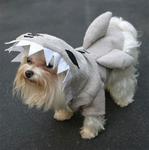 Shark Fins Pajama Pals Dog Costume kosher, hanukkah, toy, jewish, toy, puppy bed,  beds,dog mat, pet mat, puppy mat, fab dog pet sweater, dog swepet clothes, dog clothes, puppy clothes, pet store, dog store, puppy boutique store, dog boutique, pet boutique, puppy boutique, Bloomingtails, dog, small dog clothes, large dog clothes, large dog costumes, small dog costumes, pet stuff, Halloween dog, puppy Halloween, pet Halloween, clothes, dog puppy Halloween, dog sale, pet sale, puppy sale, pet dog tank, pet tank, pet shirt, dog shirt, puppy shirt,puppy tank, I see spot, dog collars, dog leads, pet collar, pet lead,puppy collar, puppy lead, dog toys, pet toys, puppy toy, dog beds, pet beds, puppy bed,  beds,dog mat, pet mat, puppy mat, fab dog pet sweater, dog sweater, dog winte