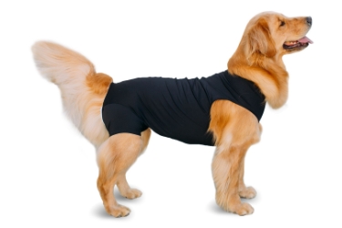 Shed Defender Recovery Suit - Post Surgery Onesie - Anxiety Jacket - 2 Colors Roxy & Lulu, wooflink, susan lanci, dog clothes, small dog clothes, urban pup, pooch outfitters, dogo, hip doggie, doggie design, small dog dress, pet clotes, dog boutique. pet boutique, bloomingtails dog boutique, dog raincoat, dog rain coat, pet raincoat, dog shampoo, pet shampoo, dog bathrobe, pet bathrobe, dog carrier, small dog carrier, doggie couture, pet couture, dog football, dog toys, pet toys, dog clothes sale, pet clothes sale, shop local, pet store, dog store, dog chews, pet chews, worthy dog, dog bandana, pet bandana, dog halloween, pet halloween, dog holiday, pet holiday, dog teepee, custom dog clothes, pet pjs, dog pjs, pet pajamas, dog pajamas,dog sweater, pet sweater, dog hat, fabdog, fab dog, dog puffer coat, dog winter ja