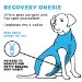 Shed Defender Recovery Suit - Post Surgery Onesie - Anxiety Jacket - 2 Colors - shed-sheddefenderrecovery