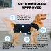 Shed Defender Recovery Suit - Post Surgery Onesie - Anxiety Jacket - 2 Colors - shed-sheddefenderrecovery