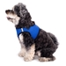 Sidekick Black Dog Harness  - wd-sideblack