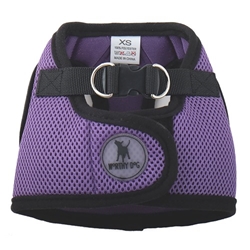 Sidekick Purple Dog Harness  pet clothes, dog clothes, puppy clothes, pet store, dog store, puppy boutique store, dog boutique, pet boutique, puppy boutique, Bloomingtails, dog, small dog clothes, large dog clothes, large dog costumes, small dog costumes, pet stuff, Halloween dog, puppy Halloween, pet Halloween, clothes, dog puppy Halloween, dog sale, pet sale, puppy sale, pet dog tank, pet tank, pet shirt, dog shirt, puppy shirt,puppy tank, I see spot, dog collars, dog leads, pet collar, pet lead,puppy collar, puppy lead, dog toys, pet toys, puppy toy, dog beds, pet beds, puppy bed,  beds,dog mat, pet mat, puppy mat, fab dog pet sweater, dog sweater, dog winter, pet winter,dog raincoat, pet raincoat, dog harness, puppy harness, pet harness, dog collar, dog lead, pet l