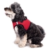 Sidekick Red Dog Harness   - wd-redharness