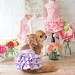 Silky Skirts - wf-silky