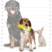 Silly Squeakers Wine Bottle-Kennel Relaxin - tuf-wine
