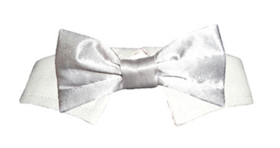 Silver Satin Dog Tie Set wooflink, susan lanci, dog clothes, small dog clothes, urban pup, pooch outfitters, dogo, hip doggie, doggie design, small dog dress, pet clotes, dog boutique. pet boutique, bloomingtails dog boutique, dog raincoat, dog rain coat, pet raincoat, dog shampoo, pet shampoo, dog bathrobe, pet bathrobe, dog carrier, small dog carrier, doggie couture, pet couture, dog football, dog toys, pet toys, dog clothes sale, pet clothes sale, shop local, pet store, dog store, dog chews, pet chews, worthy dog, dog bandana, pet bandana, dog halloween, pet halloween, dog holiday, pet holiday, dog teepee, custom dog clothes, pet pjs, dog pjs, pet pajamas, dog pajamas,dog sweater, pet sweater, dog hat, fabdog, fab dog, dog puffer coat, dog winter jacket, dog col