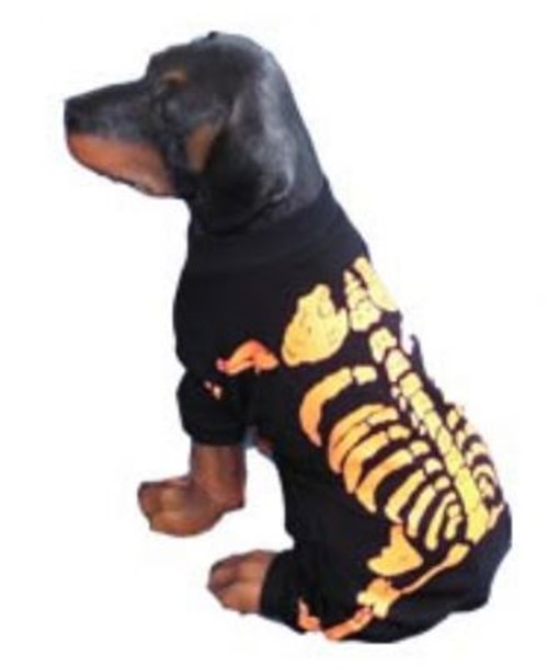Skeleton Dog Costume - Orange dog bowls,susan lanci, puppia,wooflink, luxury dog boutique,tonimari,pet clothes, dog clothes, puppy clothes, pet store, dog store, puppy boutique store, dog boutique, pet boutique, puppy boutique, Bloomingtails, dog, small dog clothes, large dog clothes, large dog costumes, small dog costumes, pet stuff, Halloween dog, puppy Halloween, pet Halloween, clothes, dog puppy Halloween, dog sale, pet sale, puppy sale, pet dog tank, pet tank, pet shirt, dog shirt, puppy shirt,puppy tank, I see spot, dog collars, dog leads, pet collar, pet lead,puppy collar, puppy lead, dog toys, pet toys, puppy toy, dog beds, pet beds, puppy bed,  beds,dog mat, pet mat, puppy mat, fab dog pet sweater, dog sweater, dog winter, pet winter,dog raincoat, pet raincoat,