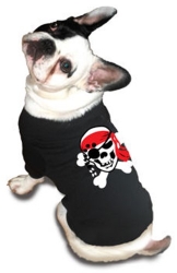 Skull Pirate Dog Tee Shirt kosher, hanukkah, toy, jewish, toy, puppy bed,  beds,dog mat, pet mat, puppy mat, fab dog pet sweater, dog swepet clothes, dog clothes, puppy clothes, pet store, dog store, puppy boutique store, dog boutique, pet boutique, puppy boutique, Bloomingtails, dog, small dog clothes, large dog clothes, large dog costumes, small dog costumes, pet stuff, Halloween dog, puppy Halloween, pet Halloween, clothes, dog puppy Halloween, dog sale, pet sale, puppy sale, pet dog tank, pet tank, pet shirt, dog shirt, puppy shirt,puppy tank, I see spot, dog collars, dog leads, pet collar, pet lead,puppy collar, puppy lead, dog toys, pet toys, puppy toy, dog beds, pet beds, puppy bed,  beds,dog mat, pet mat, puppy mat, fab dog pet sweater, dog sweater, dog winte
