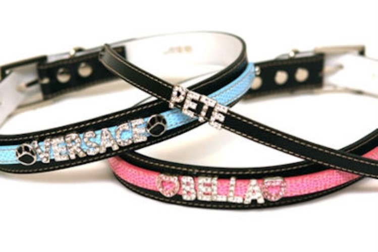 Snake Skin Bling Collars for Large Dogs  puppy bed,  beds,dog mat, pet mat, puppy mat, fab dog pet sweater, dog swepet clothes, dog clothes, puppy clothes, pet store, dog store, puppy boutique store, dog boutique, pet boutique, puppy boutique, Bloomingtails, dog, small dog clothes, large dog clothes, large dog costumes, small dog costumes, pet stuff, Halloween dog, puppy Halloween, pet Halloween, clothes, dog puppy Halloween, dog sale, pet sale, puppy sale, pet dog tank, pet tank, pet shirt, dog shirt, puppy shirt,puppy tank, I see spot, dog collars, dog leads, pet collar, pet lead,puppy collar, puppy lead, dog toys, pet toys, puppy toy, dog beds, pet beds, puppy bed,  beds,dog mat, pet mat, puppy mat, fab dog pet sweater, dog sweater, dog winter, pet winter,dog raincoat, pet rai