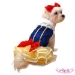 Snow Dog Princess Costume - ant-snow-princessX-5QR