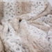 Snow Leopard Blanket in Platinum or Arctic by Susan Lanci - sl-snowblanket