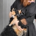So Very Chic - wf-soverychicdress