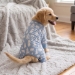 Soft Polar Bear Pajamas - dd-polarjammies