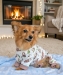 Soft Sloths Pajamas - dd-softsloths