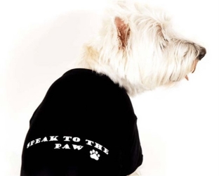 Speak to the Paw Dog Tank Shirt - White  puppy bed,  beds,dog mat, pet mat, puppy mat, fab dog pet sweater, dog swepet clothes, dog clothes, puppy clothes, pet store, dog store, puppy boutique store, dog boutique, pet boutique, puppy boutique, Bloomingtails, dog, small dog clothes, large dog clothes, large dog costumes, small dog costumes, pet stuff, Halloween dog, puppy Halloween, pet Halloween, clothes, dog puppy Halloween, dog sale, pet sale, puppy sale, pet dog tank, pet tank, pet shirt, dog shirt, puppy shirt,puppy tank, I see spot, dog collars, dog leads, pet collar, pet lead,puppy collar, puppy lead, dog toys, pet toys, puppy toy, dog beds, pet beds, puppy bed,  beds,dog mat, pet mat, puppy mat, fab dog pet sweater, dog sweater, dog winter, pet winter,dog raincoat, pet rai