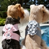 Special Occasion Flower Tinkie Harness in 2 Sweet Colors Roxy & Lulu, wooflink, susan lanci, dog clothes, small dog clothes, urban pup, pooch outfitters, dogo, hip doggie, doggie design, small dog dress, pet clotes, dog boutique. pet boutique, bloomingtails dog boutique, dog raincoat, dog rain coat, pet raincoat, dog shampoo, pet shampoo, dog bathrobe, pet bathrobe, dog carrier, small dog carrier, doggie couture, pet couture, dog football, dog toys, pet toys, dog clothes sale, pet clothes sale, shop local, pet store, dog store, dog chews, pet chews, worthy dog, dog bandana, pet bandana, dog halloween, pet halloween, dog holiday, pet holiday, dog teepee, custom dog clothes, pet pjs, dog pjs, pet pajamas, dog pajamas,dog sweater, pet sweater, dog hat, fabdog, fab dog, dog puffer coat, dog winter ja
