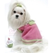 Sprinkles Cupcake Dog Sweater  with Squeaky Toy - on-cupcake