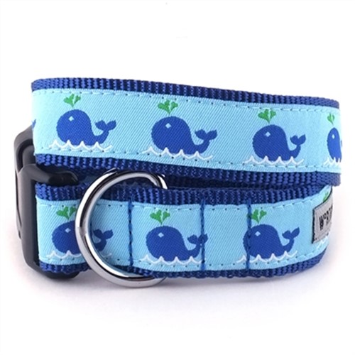 Squirt Dog Collar & Lead     pet clothes, dog clothes, puppy clothes, pet store, dog store, puppy boutique store, dog boutique, pet boutique, puppy boutique, Bloomingtails, dog, small dog clothes, large dog clothes, large dog costumes, small dog costumes, pet stuff, Halloween dog, puppy Halloween, pet Halloween, clothes, dog puppy Halloween, dog sale, pet sale, puppy sale, pet dog tank, pet tank, pet shirt, dog shirt, puppy shirt,puppy tank, I see spot, dog collars, dog leads, pet collar, pet lead,puppy collar, puppy lead, dog toys, pet toys, puppy toy, dog beds, pet beds, puppy bed,  beds,dog mat, pet mat, puppy mat, fab dog pet sweater, dog sweater, dog winter, pet winter,dog raincoat, pet raincoat, dog harness, puppy harness, pet harness, dog collar, dog lead, pet l