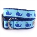 Squirt Dog Collar & Lead     - wd-squirt-collar