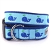 Squirt Dog Collar & Lead     - wd-squirt-collar