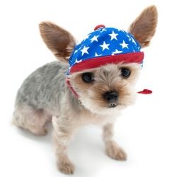 Star Hat  Roxy & Lulu, wooflink, susan lanci, dog clothes, small dog clothes, urban pup, pooch outfitters, dogo, hip doggie, doggie design, small dog dress, pet clotes, dog boutique. pet boutique, bloomingtails dog boutique, dog raincoat, dog rain coat, pet raincoat, dog shampoo, pet shampoo, dog bathrobe, pet bathrobe, dog carrier, small dog carrier, doggie couture, pet couture, dog football, dog toys, pet toys, dog clothes sale, pet clothes sale, shop local, pet store, dog store, dog chews, pet chews, worthy dog, dog bandana, pet bandana, dog halloween, pet halloween, dog holiday, pet holiday, dog teepee, custom dog clothes, pet pjs, dog pjs, pet pajamas, dog pajamas,dog sweater, pet sweater, dog hat, fabdog, fab dog, dog puffer coat, dog winter ja