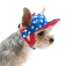 Star Hat  - dgo-starhat